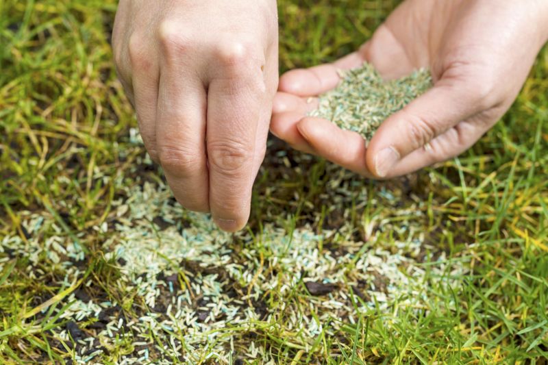 Fall Lawn Seeding in Ventura County, CA