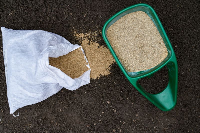 Lawn Seeding in Ventura County, CA