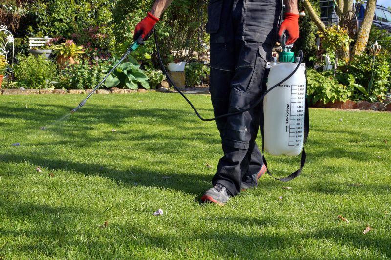 Lawn Weed Treatment in Ventura County, CA
