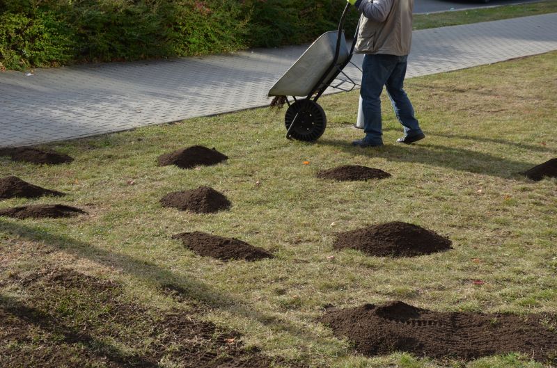 Yard Improvement Service in Ventura County, CA