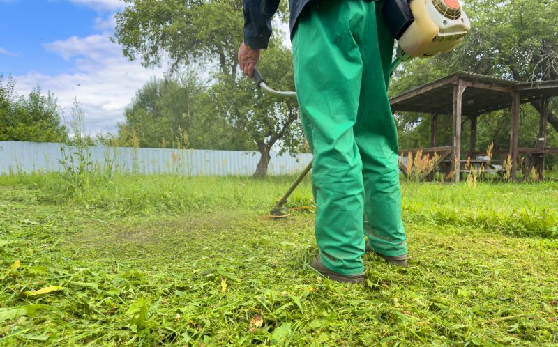 Lawn Care And Landscaping Service