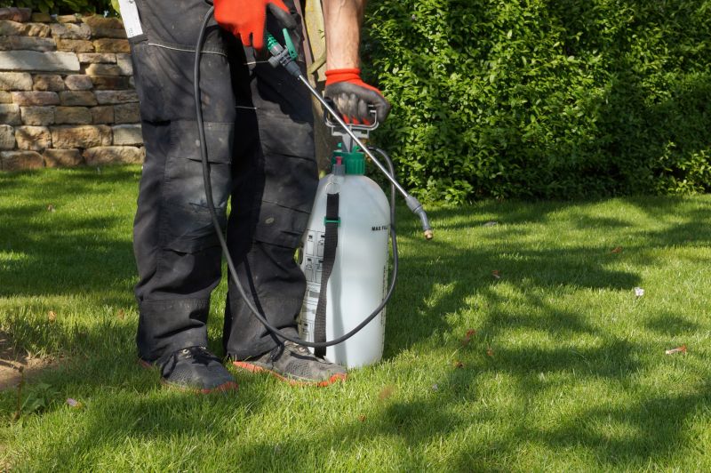 Lawn Herbicide Treatment in Rockwall, TX